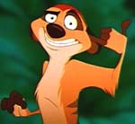 Timon from The Lion King